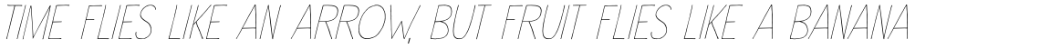 Insect Jar Italic