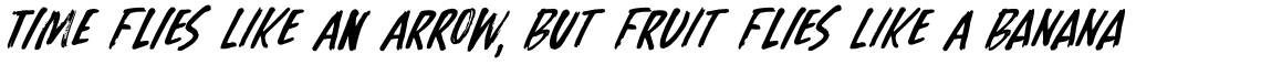 Benjiro Italic