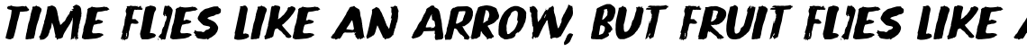 Public Lifestyle Italic
