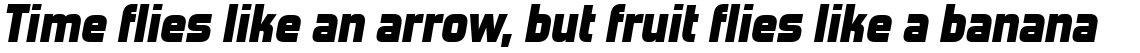 Forgotten Futurist Black Italic (Commercial License)
