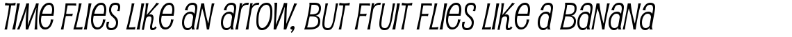 Pupcat Regular Italic (Commercial License)