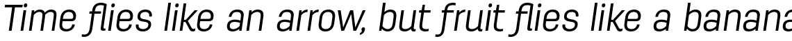 Antartida Light Italic