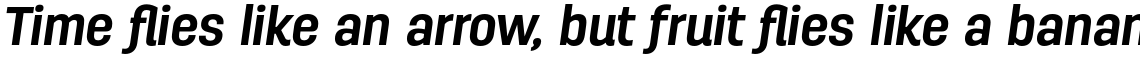 Antartida Bold Italic
