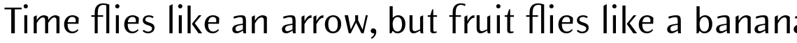 Elemental Sans Pro Regular