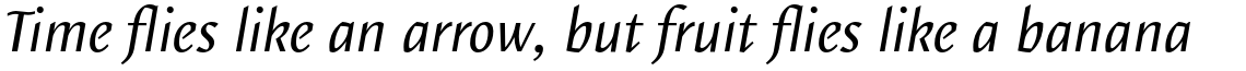 Elemental Sans Pro Regular Italic