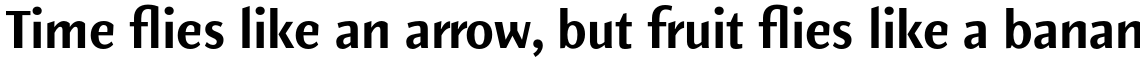 Elemental Sans Pro Bold