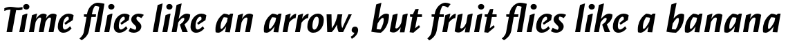 Elemental Sans Pro Bold Italic