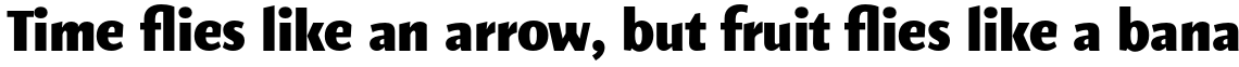 Elemental Sans Pro Extra Bold