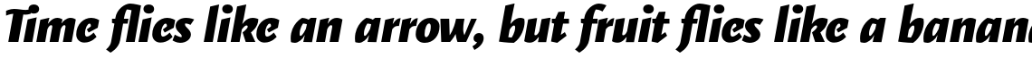 Elemental Sans Pro Extra Bold Italic