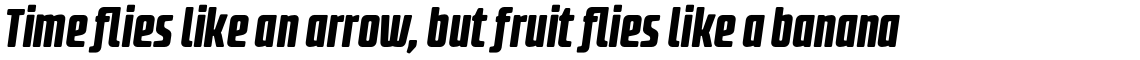 Fidel Black Italic