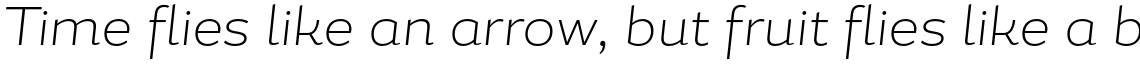 Magallanes Extra Light Italic