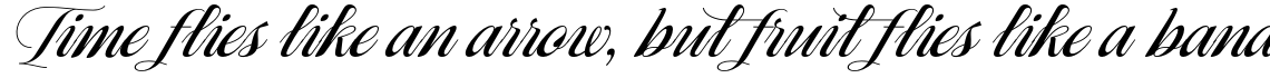 Ragazza Script
