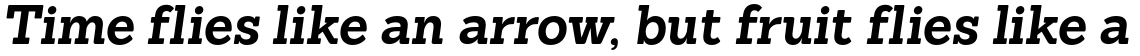 Sanchez Bold Italic