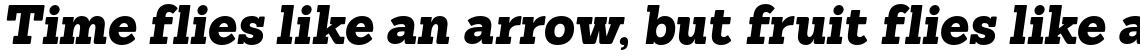 Sanchez Black Italic