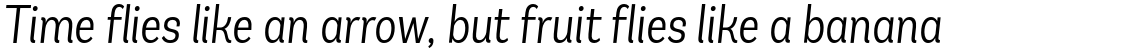 Andes Condensed Light Italic