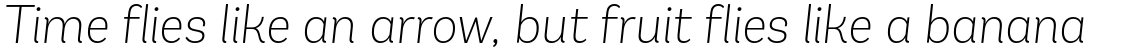 Andes Extra Light Italic