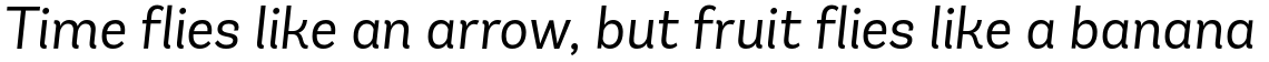 Andes Book Italic