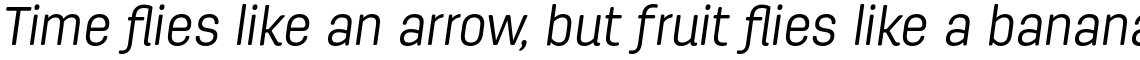 Antartida Rounded Light Italic