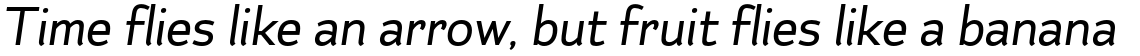 Kahlo Essential Black Italic