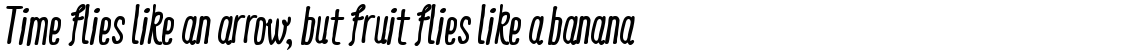 Ride my Bike Essential Bold Italic