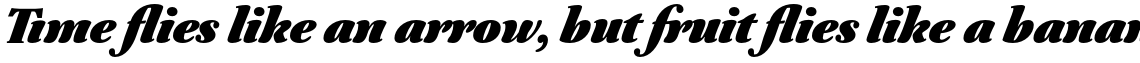 Australis Pro Heavy Italic