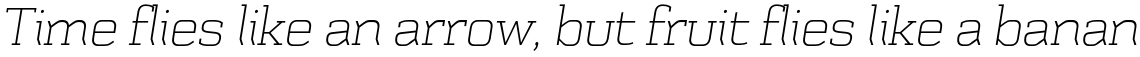 Schwager Thin Italic