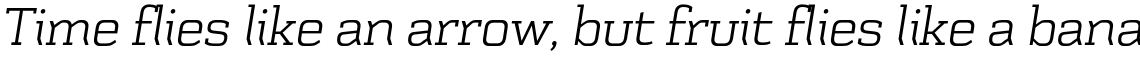 Schwager Light Italic
