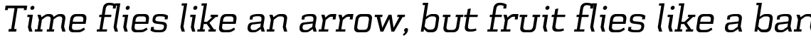 Schwager Regular Italic