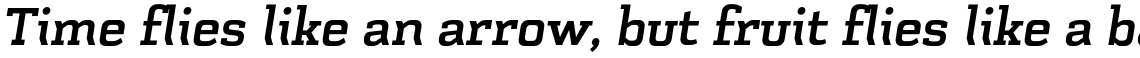 Schwager Bold Italic