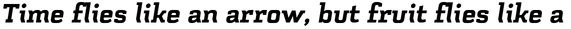 Schwager Black Italic