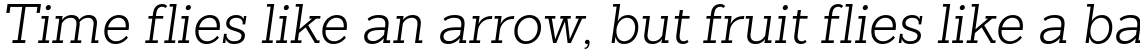 Sanchez Slab Light Italic