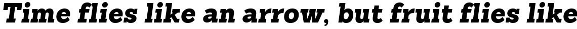 Sanchez Slab Black Italic