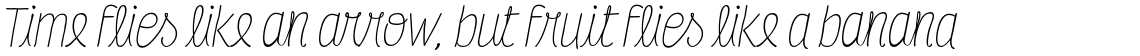 Four Seasons Pro Italic