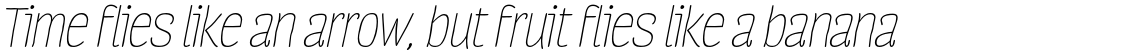 Four Seasons Essential Italic