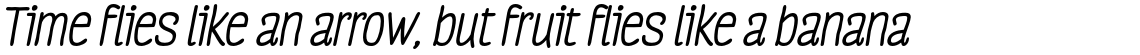 Four Seasons Essential Bold Italic