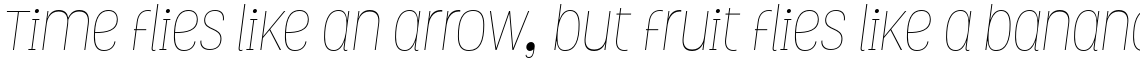 Grota Thin Italic