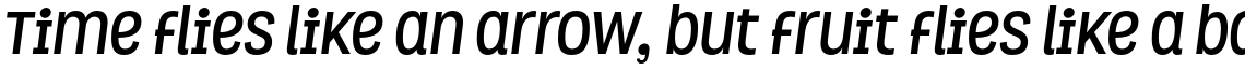 Grota Bold Italic