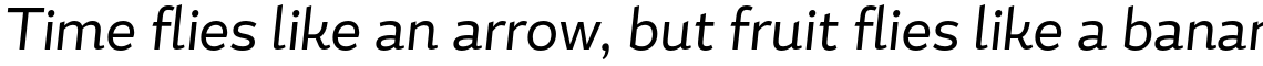 Magallanes Condensed Regular Italic