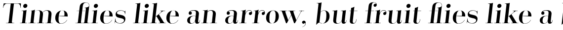 Santis Italic
