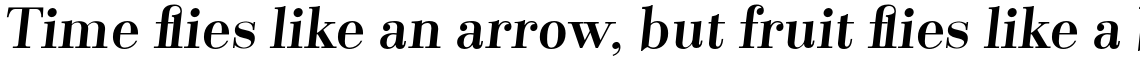 Santis Bold Italic