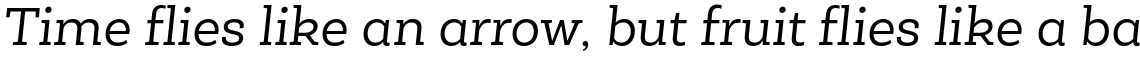 Roble Alt Book Italic