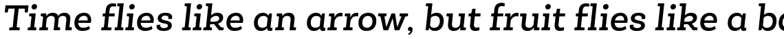 Roble Alt Medium Italic