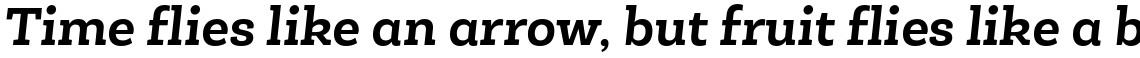 Roble Alt Bold Italic