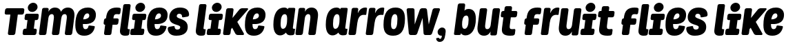 Grota Rounded Black Italic