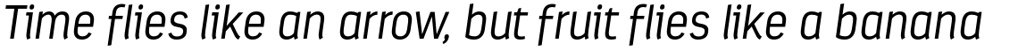 Estandar Light Italic