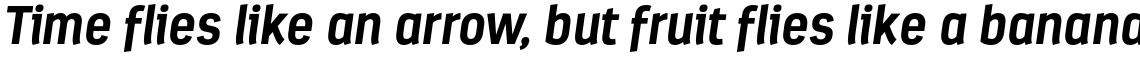 Estandar Bold Italic