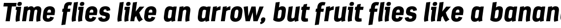 Estandar Black Italic