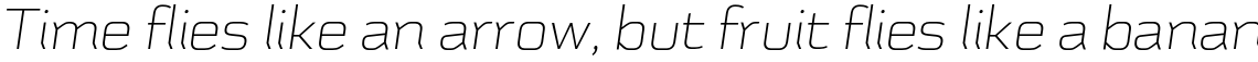 Schwager Sans Thin Italic