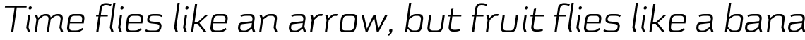 Schwager Sans Light Italic