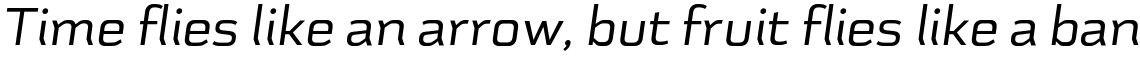 Schwager Sans Italic